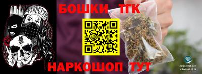 крисы Моздок