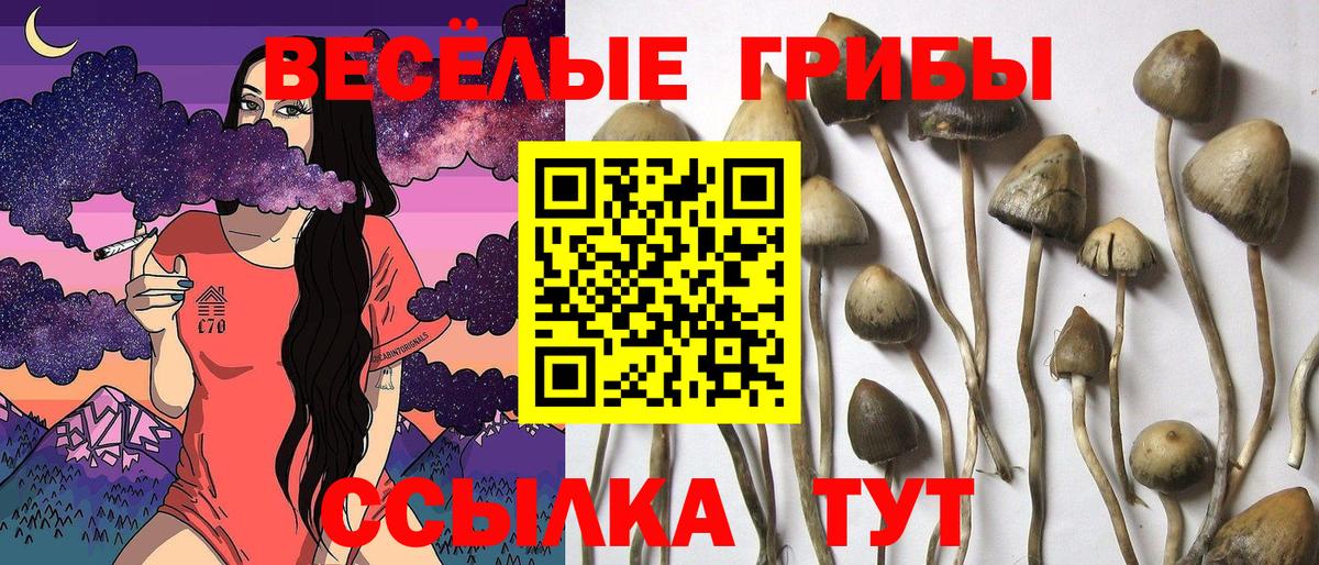 Туапсе  Галлюциногенные грибы мицелий  Вход с VPN 